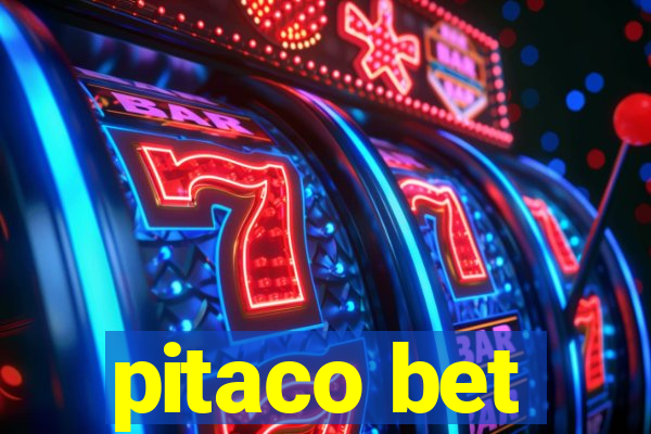 pitaco bet